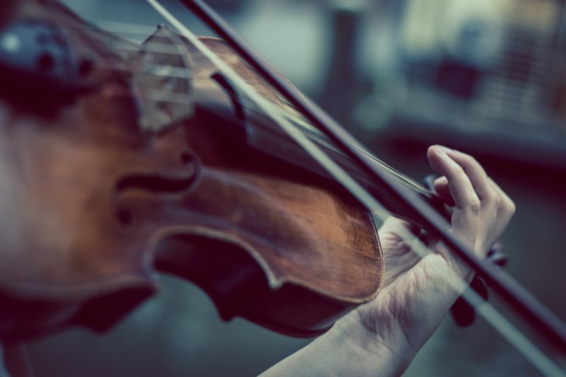 Enchanted Violinist